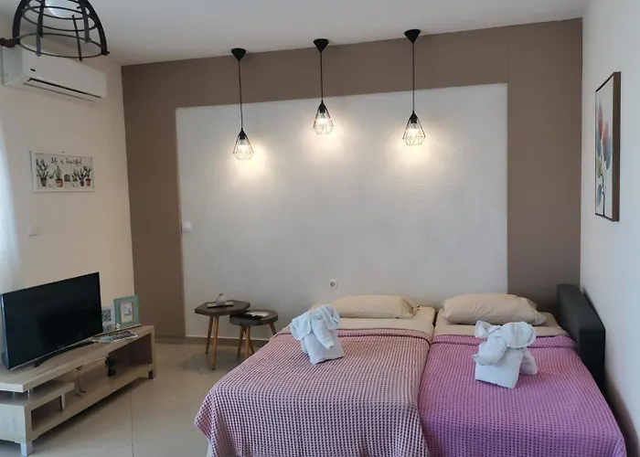 Evris House Color Suite